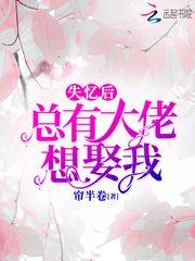 失憶後總有大佬想娶我